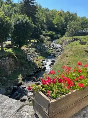 a flower pot with red flowers next to a river at Bol d'air à Mijanès in Mijanès