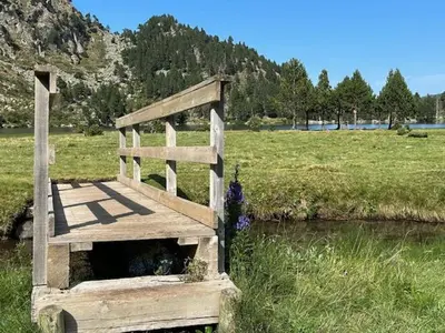 a wooden bridge over a river in a field at Bol d'air à Mijanès in Mijanès