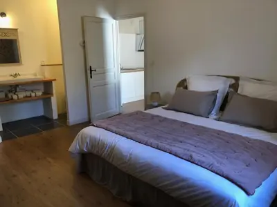 a bedroom with a large bed in a room at Domaine de la laugerie - relais du consul in Castres