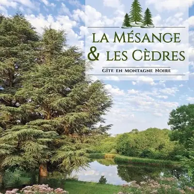 Maison vue sur lac en moyenne montagne