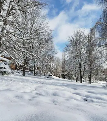 a snow covered field with trees and treesicter at Chaleureux Chalet Lac Roussinas in Anglès