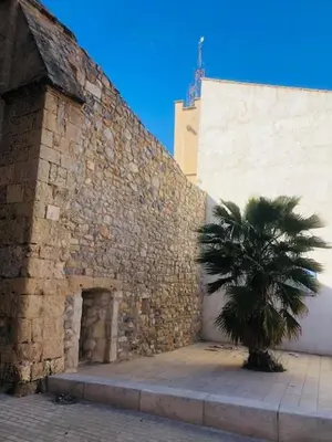 a palm tree sitting next to a brick wall at La Barbacane in Lapalme