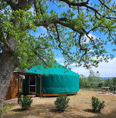 a green roofed building with a tree at Les Cabanes d'ErbeFol in Ansignan