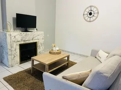 a living room with a couch and a table with a tv at Appartement 3 chambres proche centre ville in Carcassonne