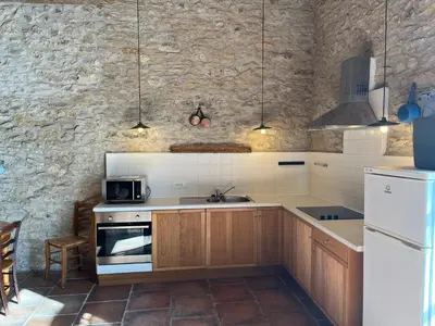 a kitchen with wooden cabinets and a stone wall at Le Clos Sainte Marie - Caune in Cenne-Monestiès