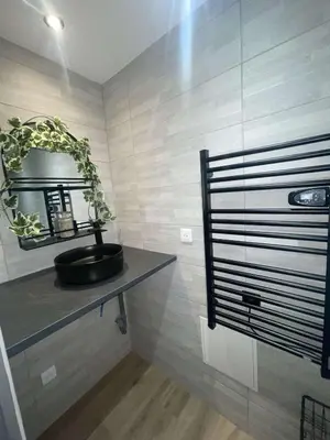 a bathroom with a plant sitting on a shelf at Jiovanni in Rieux-Minervois