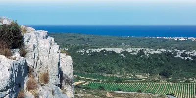 a view of a mountain with the ocean in the background at Gîte des Vignerons in Salles-d'Aude