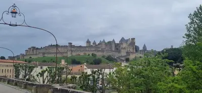 a castle on top of a hill with buildings at Situation exceptionnelle HARMONY III in Carcassonne