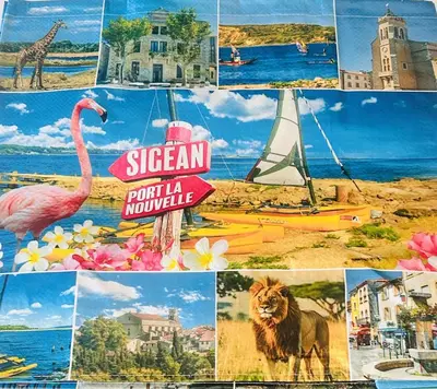 a collage of different pictures of different places at Les sables d'or in Port-la-Nouvelle