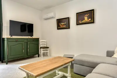 a living room with a couch and a tv at L'Alchémille Terrasse Wifi in Peyriac-de-Mer
