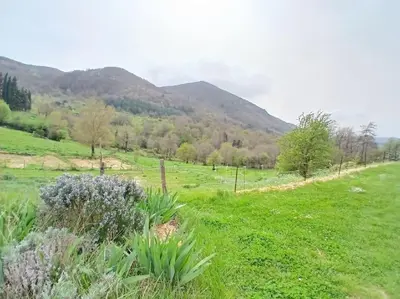 a field of grass with mountains in the background at Bright loft with mountain and nature view in Sougraigne