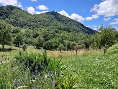 a field of flowers with mountains in the background at Bright loft with mountain and nature view in Sougraigne