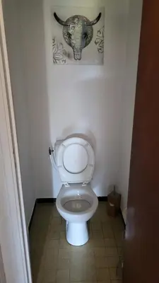 a bathroom with a toilet with a bull painting on the wall at Bel Appartement in Vinassan