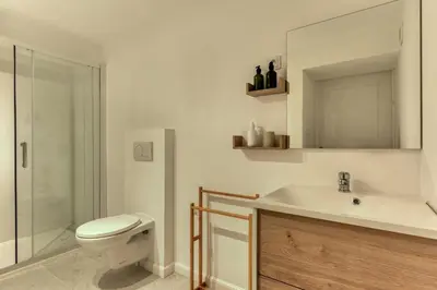 a bathroom with a toilet and a sink and a shower at Le Cyperus Appartement avec Terrasse et Wifi in Peyriac-de-Mer