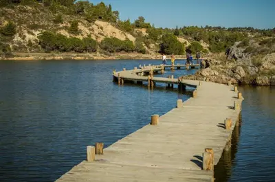 a group of people walking on a dock in the water at L'Euphorbe Terrasse Wifi in Peyriac-de-Mer