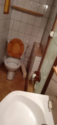 a bathroom with a toilet and a sink at Maison de village avec jardin in Saint-Louis-et-Parahou