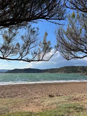 a view of a beach with the ocean and trees at Charmante maison de village in Peyriac-de-Mer