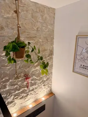 a potted plant on a wall with lights at Charmante maison de village in Peyriac-de-Mer