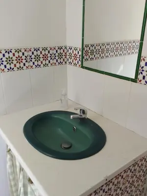 a green sink in a bathroom with a mirror at Gite de l'Etang proche des Grands Buffets in Narbonne