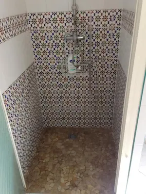 a bathroom with a shower with a tiled wall at Gite de l'Etang proche des Grands Buffets in Narbonne