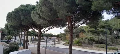 a street with trees on the side of a road at Très beau Studio Cosy à 500m de la Plage in Gruissan