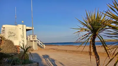 a palm tree in front of a beach with the ocean at Très beau Studio Cosy à 500m de la Plage in Gruissan