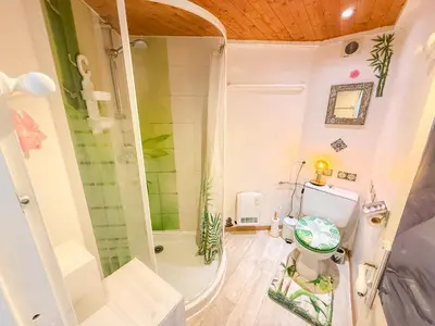 a small bathroom with a shower and a toilet at Petite Maison de Resource avec Cuisine in Rennes-les-Bains