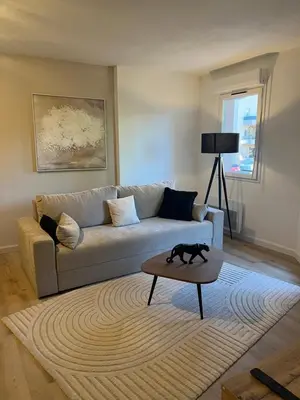 a living room with a couch and a cat on a table at Le Somptueux, Cosy / Balnéo in Carcassonne