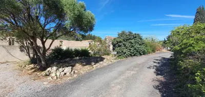 a dirt road with a tree on the side of it at Domaine de La Pierre Chaude in Portel-des-Corbières