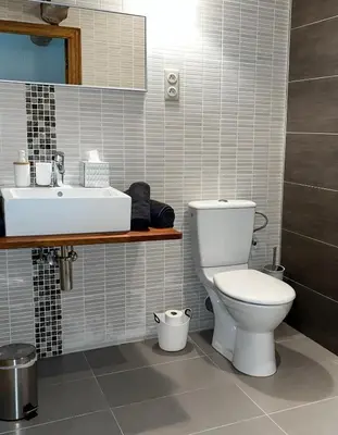 a bathroom with a white toilet and a sink at Domaine du Léou in Fiac