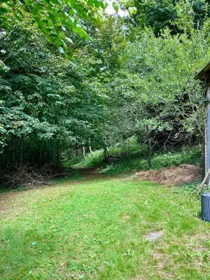 a yard with green grass and trees and a house at Parenthèse en Forêt - Gîte Hautbois, Sidobre in Le Bez