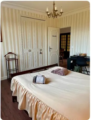 a bedroom with a large white bed with a chandelier at Chambre au calme in Lagarrigue