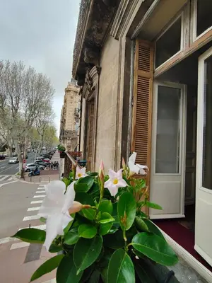 a plant with white flowers in front of a building at Will's Appart in Narbonne