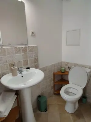 a bathroom with a white sink and a toilet at Will's Appart in Narbonne