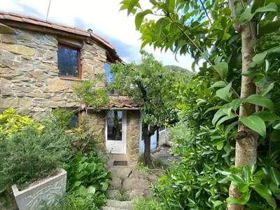 a stone house with a white door and trees at La bergerie des étoiles in Rouvenac