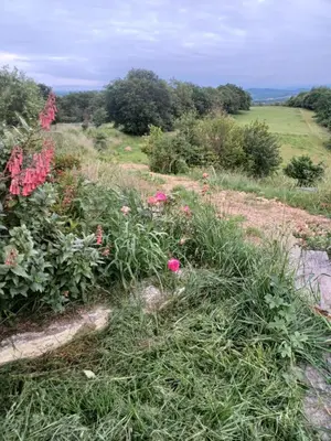 a garden with pink flowers and grass on a hill at La Biste in Mirepoix