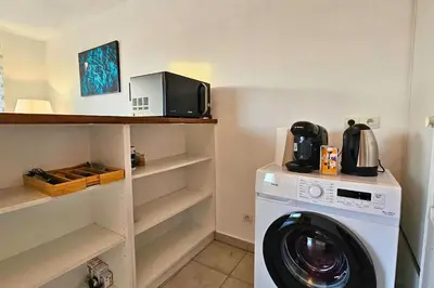 a laundry room with a washing machine and a microwave at L'évasion Carcassonnais avec Terrasse 2 places de Parking privée in Carcassonne
