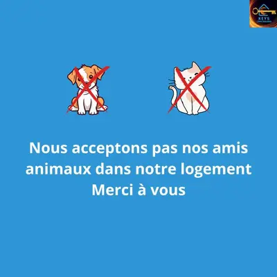 pas no animals animals clams notice ligament need aowl at Le cocon centre ville au calme Oc Keys 34 in Castelnaudary