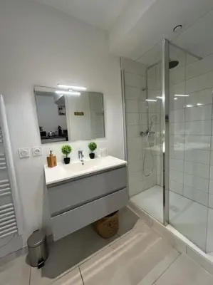 a white bathroom with a sink and a shower at Le cocon centre ville au calme Oc Keys 34 in Castelnaudary