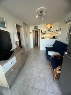 a living room with a couch and a tv at Superbe 2 pièces climatisé avec piscines in Gruissan