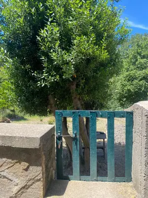 a blue gate with a tree behind it at Casa Bohème in Saint-Jean-de-Barrou