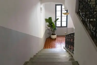 a stairway with a potted plant in a building at Olivier ATTON in Narbonne