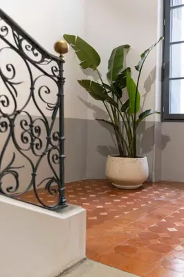 a plant in a pot sitting next to a staircase at Olivier ATTON in Narbonne