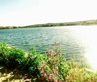 a view of a large body of water with pink flowers at Mimi in Port-la-Nouvelle