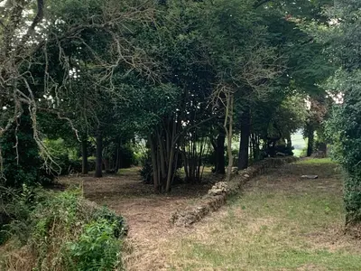 a row of trees in a field with grass at Villa Kiener in Villeneuve-la-Comptal