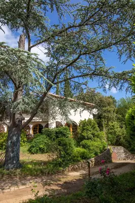 a house with a tree in front of it at Occit'Homières in Saint-Pons