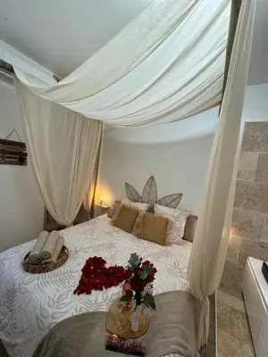 a bedroom with a canopy bed with flowers on it at l'Idylle - Coeur de Bastide - balnéo - Clim in Carcassonne