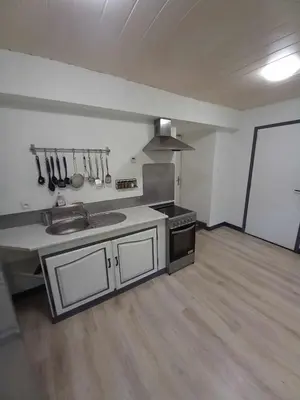 a kitchen with a sink and a stove in a room at La Coumereille in Belcaire