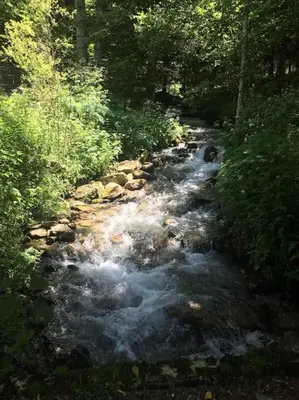 a stream of water with rocks in a forest at La Coumereille in Belcaire
