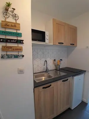 a small kitchen with a sink and a microwave at Studio Balcon Narbonne Centre in Narbonne
